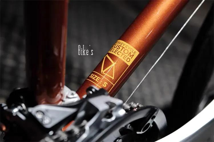 一场说走就走的骑行，也许你需要一辆好的单车（二）车型篇