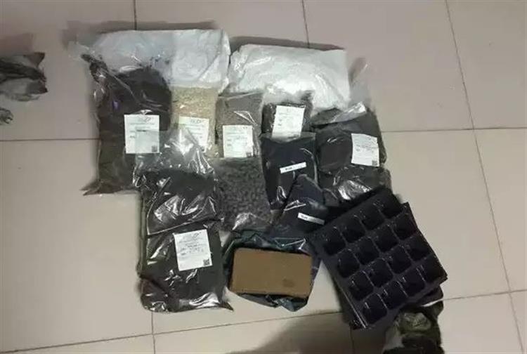 养多肉的土发霉是怎么回事,品氏泥炭土发霉了还能用吗