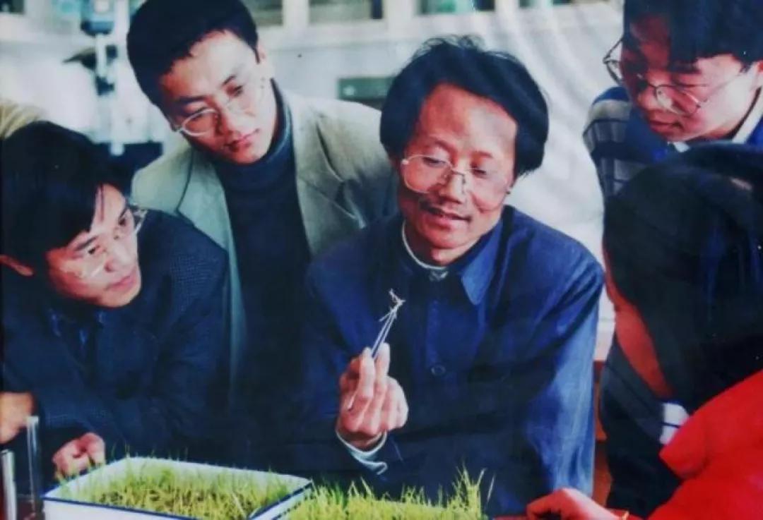 被打的老教授,吃饱的中国人