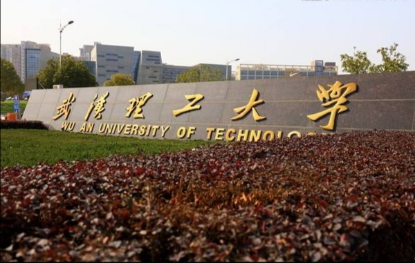 武汉理工大学属于顶级211大学吗,武汉市有几所211大学排名一览表