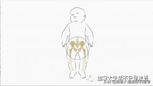 加拿大婴儿用品,加拿大必买婴幼儿用品
