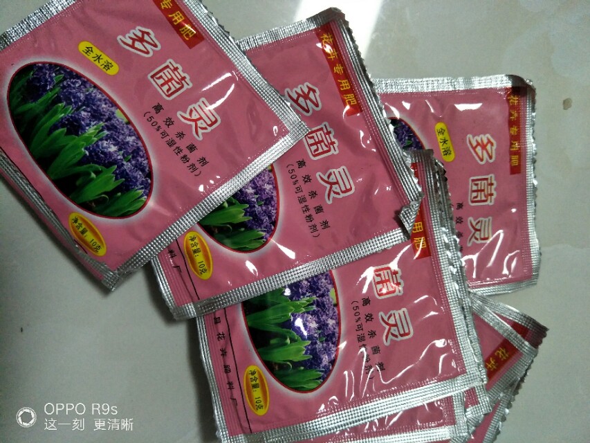 如何让兰花安全度过夏天,怎么让兰花不得茎腐