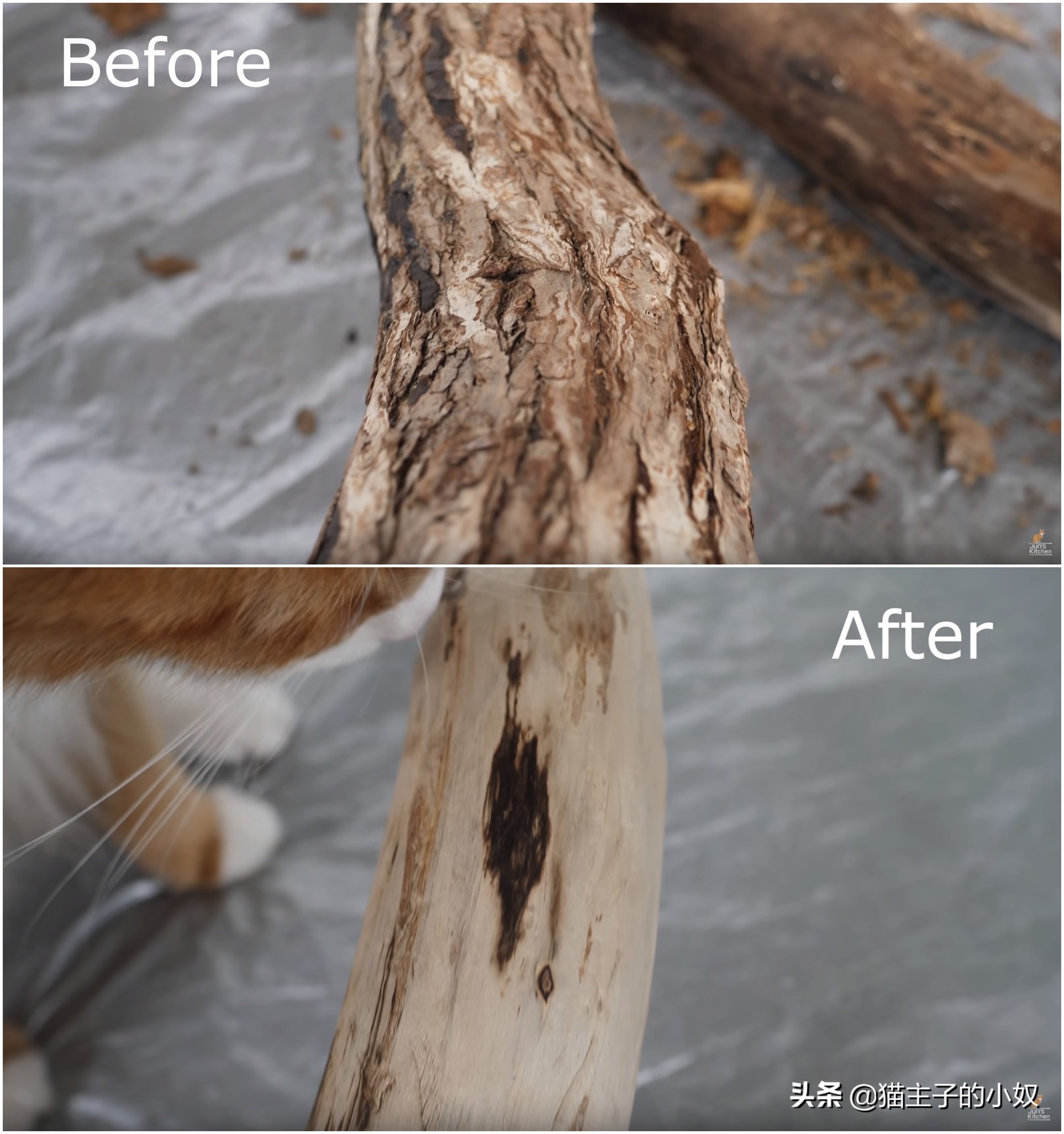 diy猫爬架大约需要什么材料,diy猫爬架材料清单