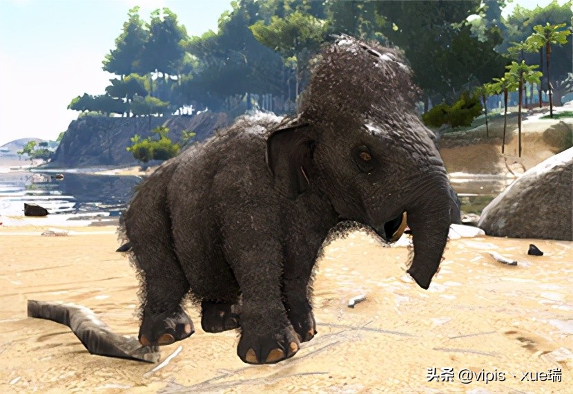 方舟猛犸象吃什么驯服最快,方舟手游猛犸象吃什么食物