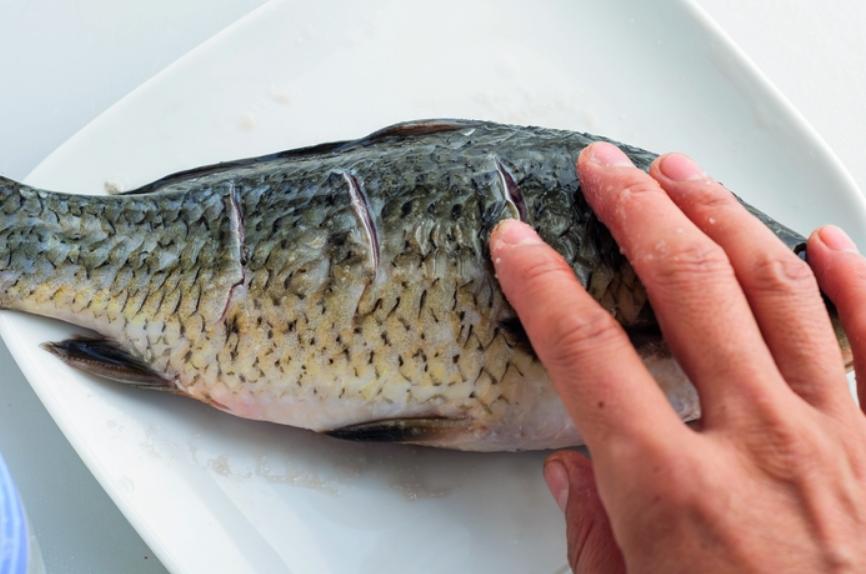 无论炖什么鱼只要记住2种料,鱼肉汤用什么鱼最佳