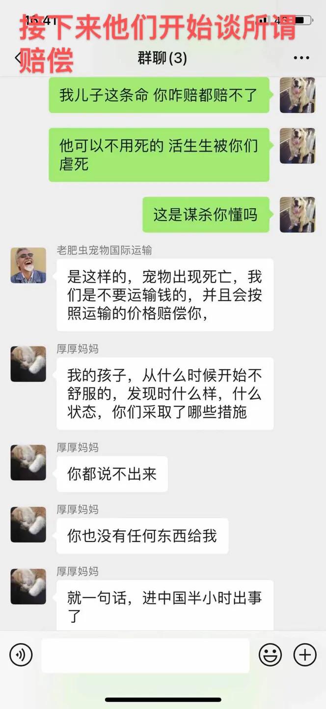 金毛siri被无良商家托运真实视频,金毛被主人丢弃了真是太可怜了