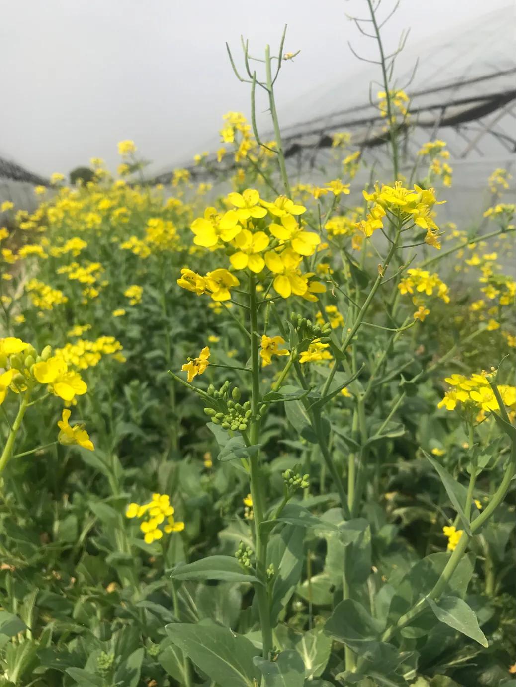 奉化旅游团一日游,奉化乡村一日游最佳景点