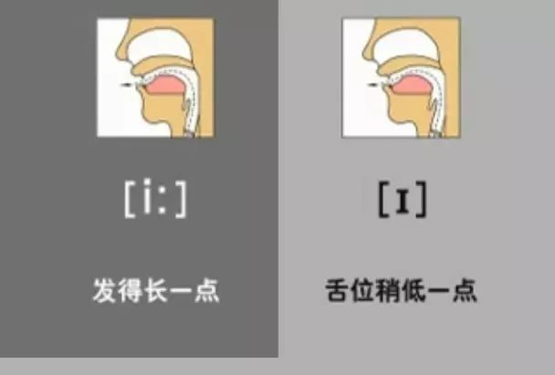 英语音标48个快速记,英语48个音标顺口溜视频教程