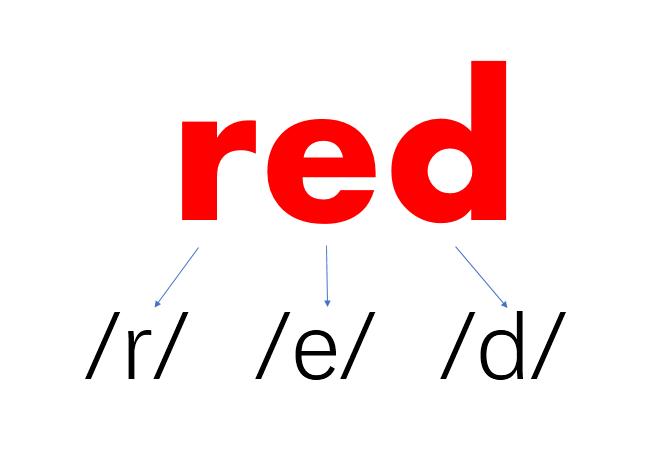 自然拼读神奇吗,自然拼读你必须知道的