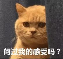 猫咪有哪些必须做的手术,猫咪的残忍手术