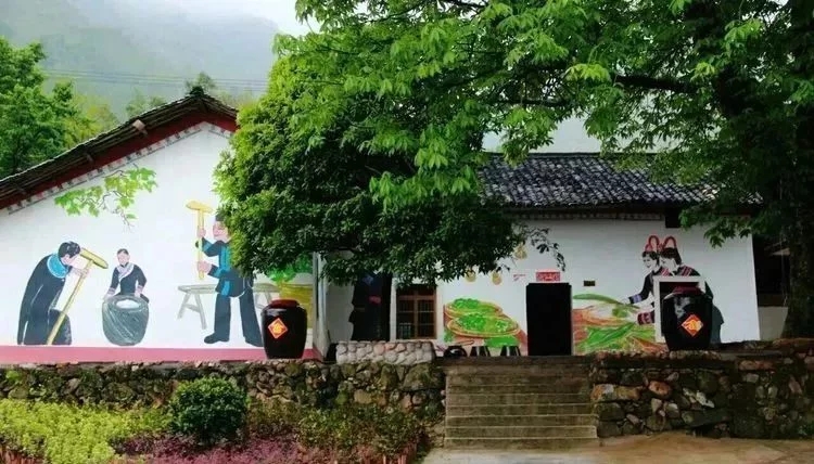 畲族是哪里的民族乡,畲族体验