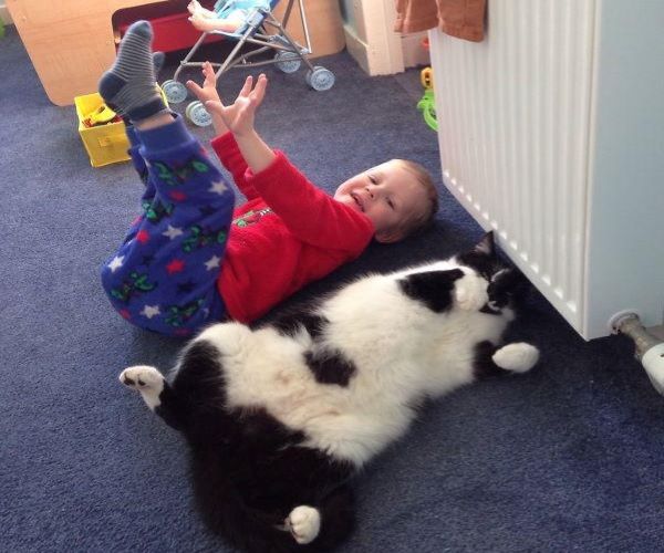 钟南山院士说养狗能增强免疫力,钟南山院士谈养宠物预防哮喘