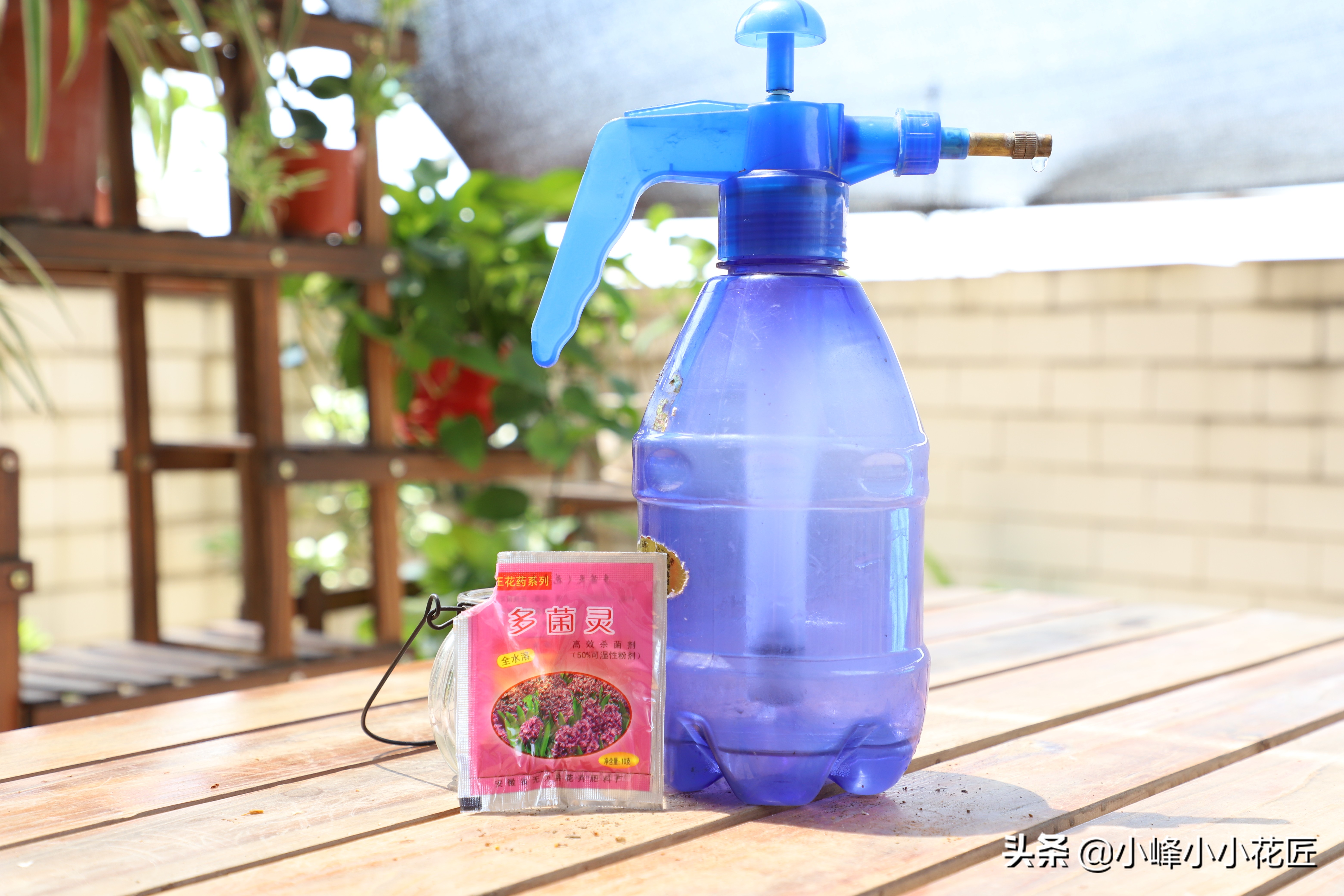 兰花换盆多菌灵的正确使用方法,多菌灵给土豆的正确使用方法