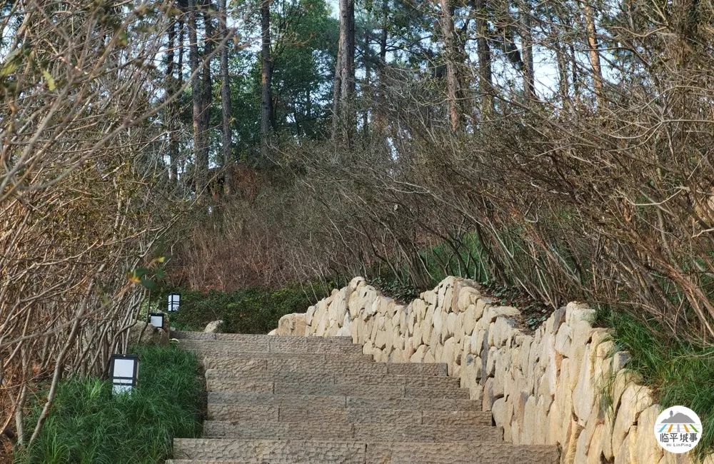 临平体育馆改扩建有篮球场吗,体育公园篮球场施工