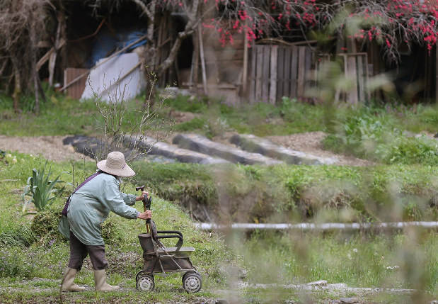 家里老人没了土地怎么继承,日本人家里有土地继承吗