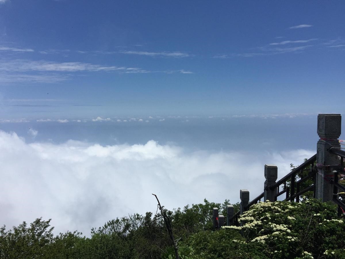 峨眉山登顶佛像,峨眉山登顶记完整版