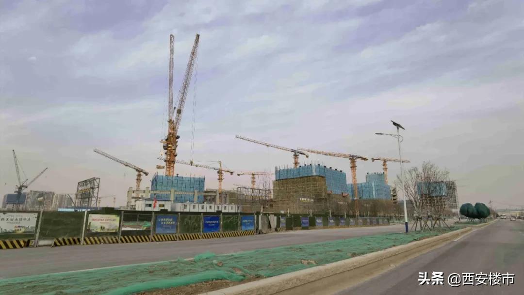 金地新盘为什么不开,奥体金地新盘