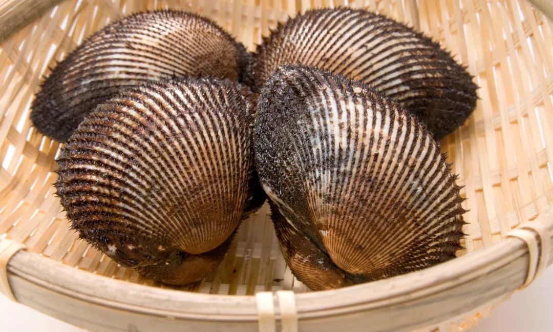 蛤蜊、蛏子、毛蚶、蚬子，那些好吃的小贝壳，今天一次搞清楚