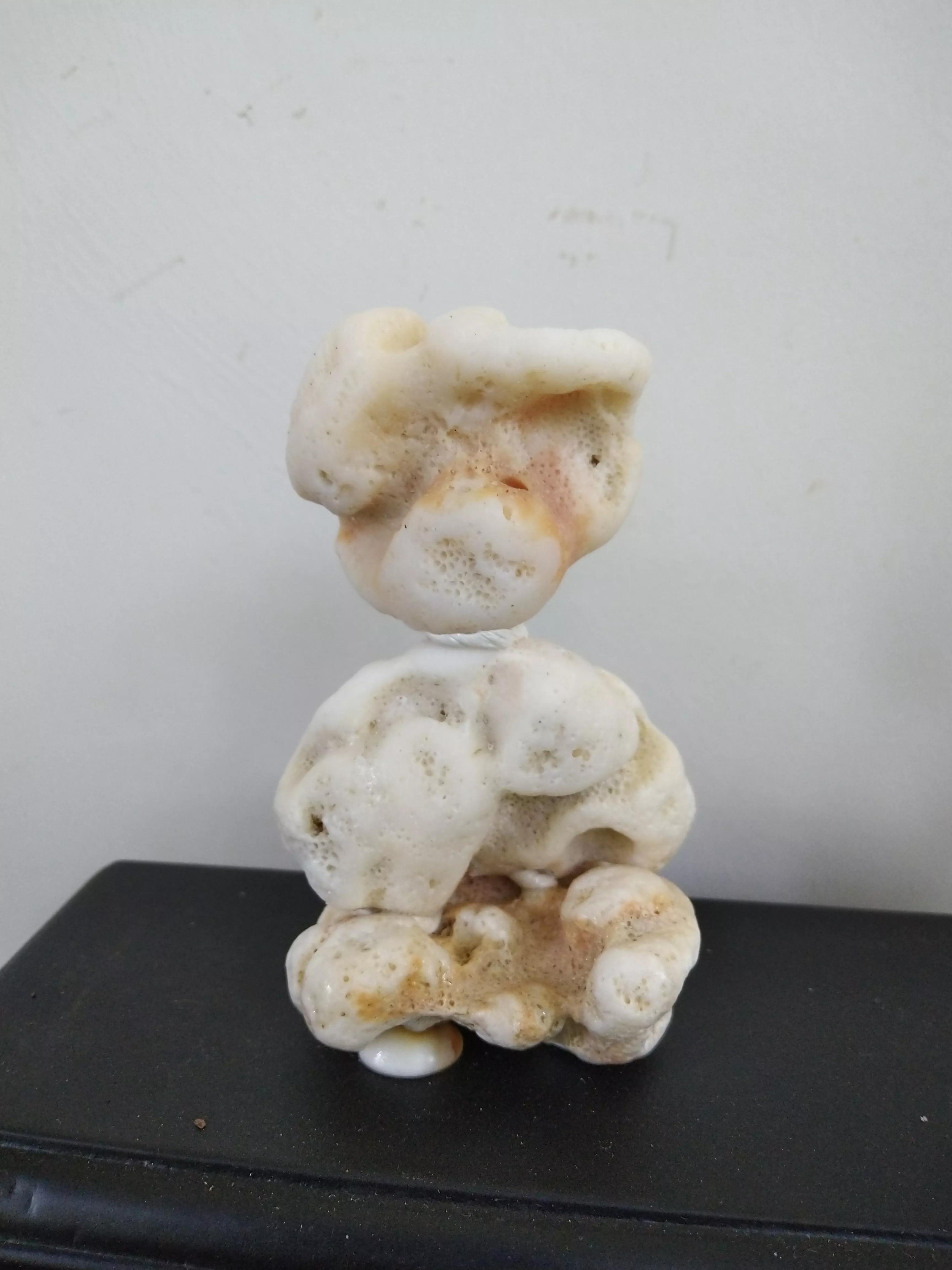 发现大自然的美的作文500字,发现大自然的美一篇作文