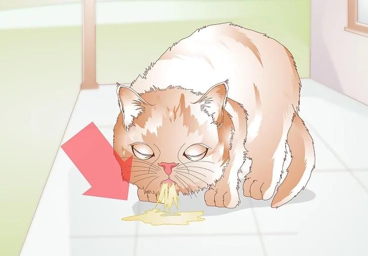 猫咪受伤怎么救助路边,猫咪受伤怎么治疗