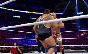 热血格斗详细解析,当年的热血格斗是否依然纯粹