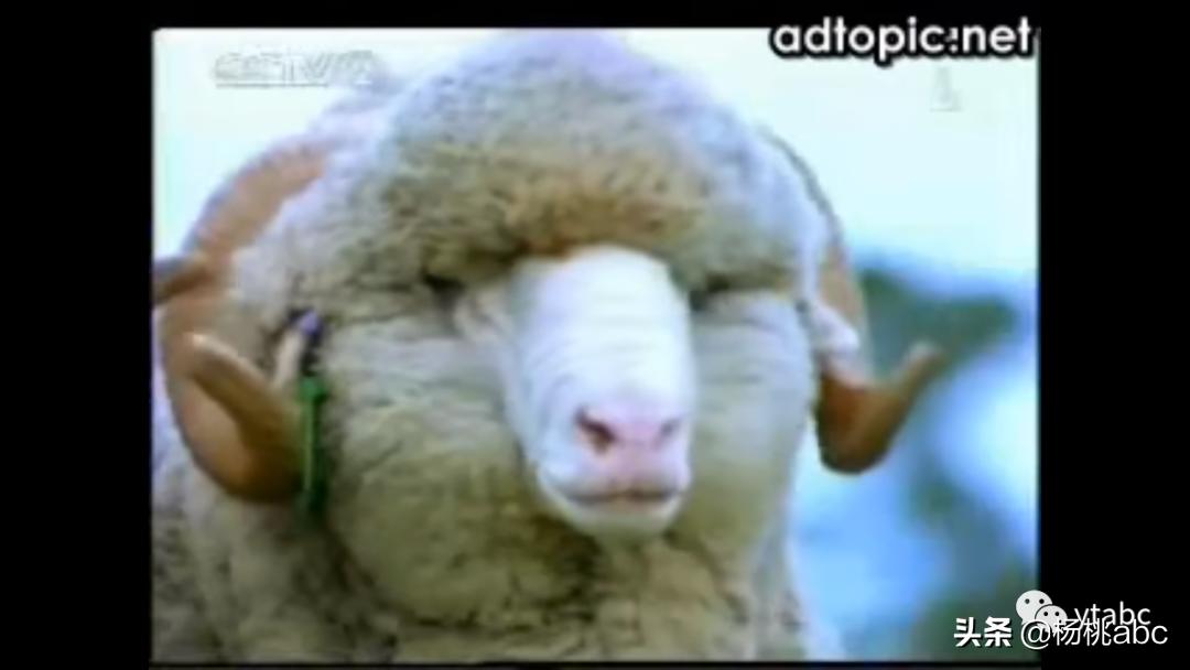 南极人羽绒被怎么样,南极人羊毛冬被