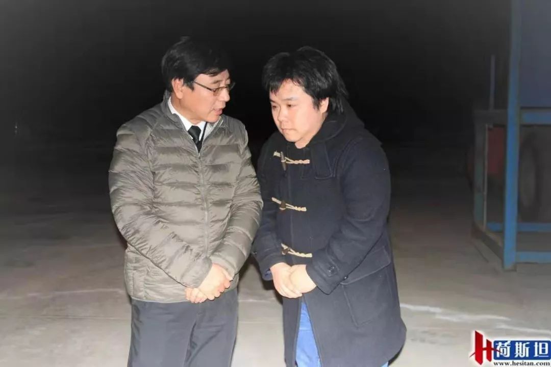 4000头新西兰牛抵达大丰港适合中国消费者的海福特肉牛强势来袭