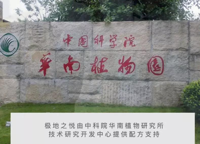 黑头闭口连根拔起,黑头粉刺连根拔起留坑