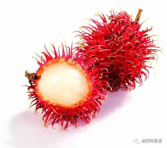 清凉一夏愉快吃瓜—印尼常见水果大全