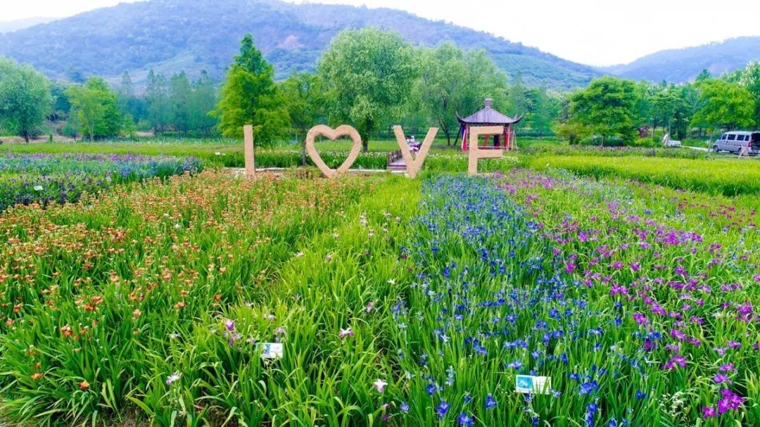 欢呼！余杭9条精品旅游线出炉！瓶窑、塘栖、中泰...太惊艳了！