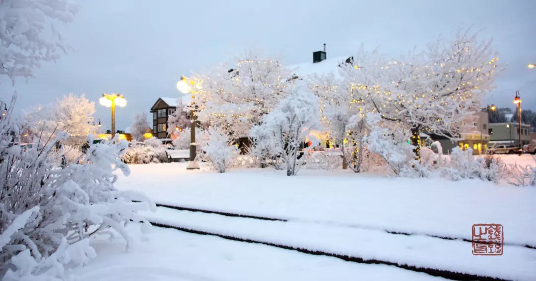 去育空，寻找这个世界的终极