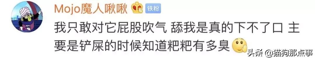 爱我，就给我舔屁股吧
