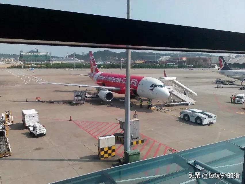 泰北玫瑰的英文,泰北玫瑰图片