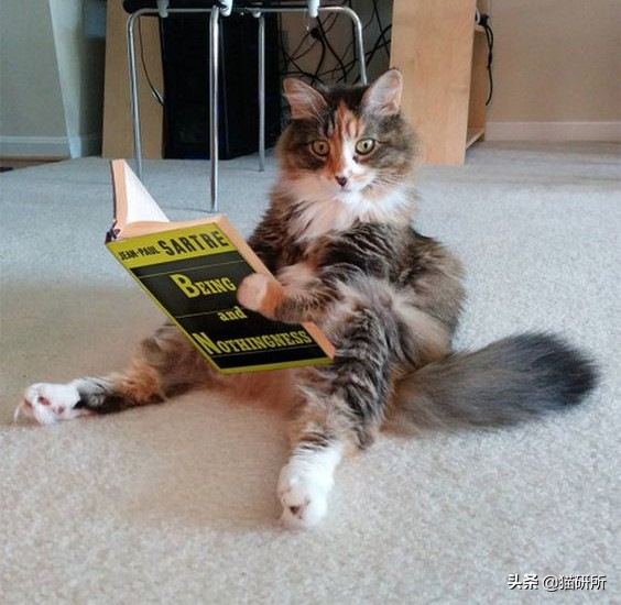 万里挑一加盟,万里挑一高手在哪里