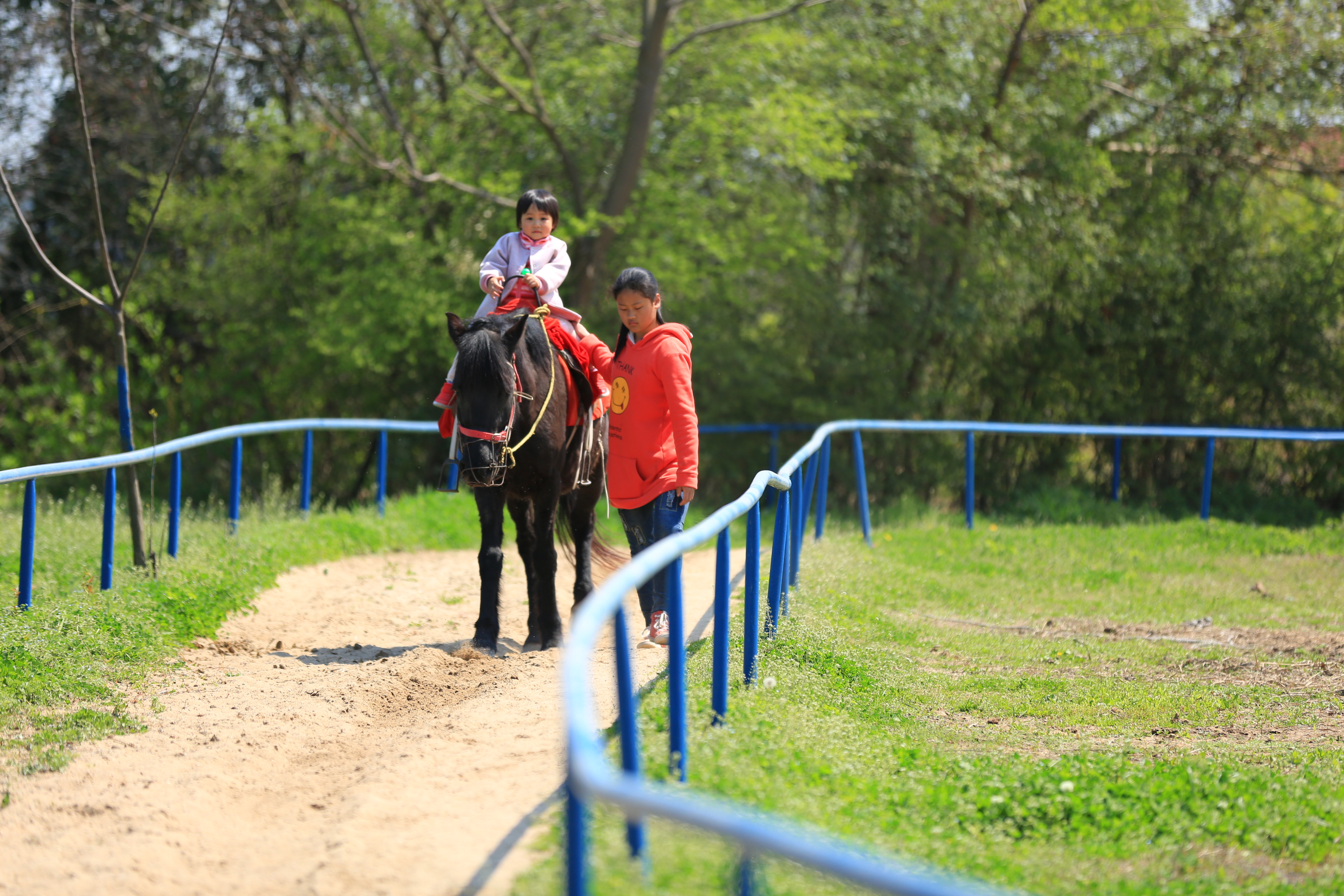 扬州是个不花钱的公园,扬州本地人最喜欢去的公园
