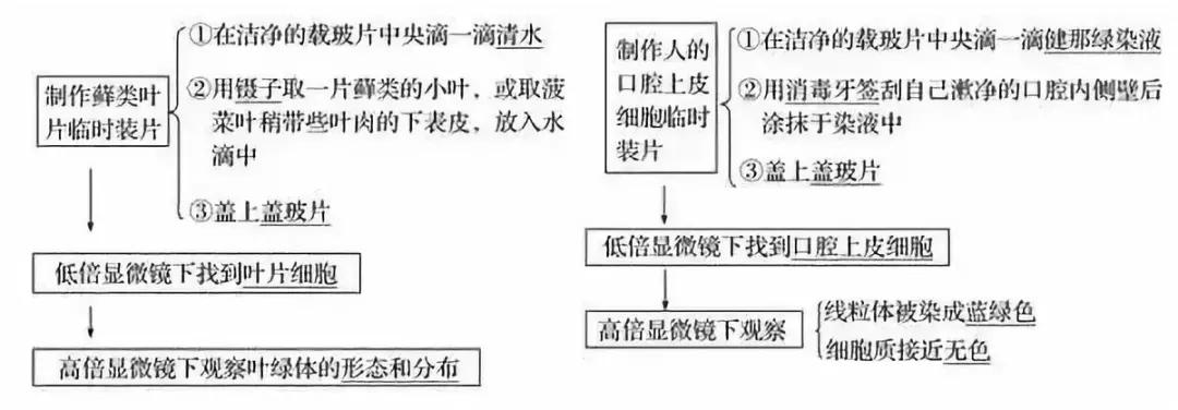 云南高中会考生物实验操作,生物显微镜实验视频高中