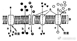 苏教版生物高中必修一课程,苏教版高中生物必修一的全套视频