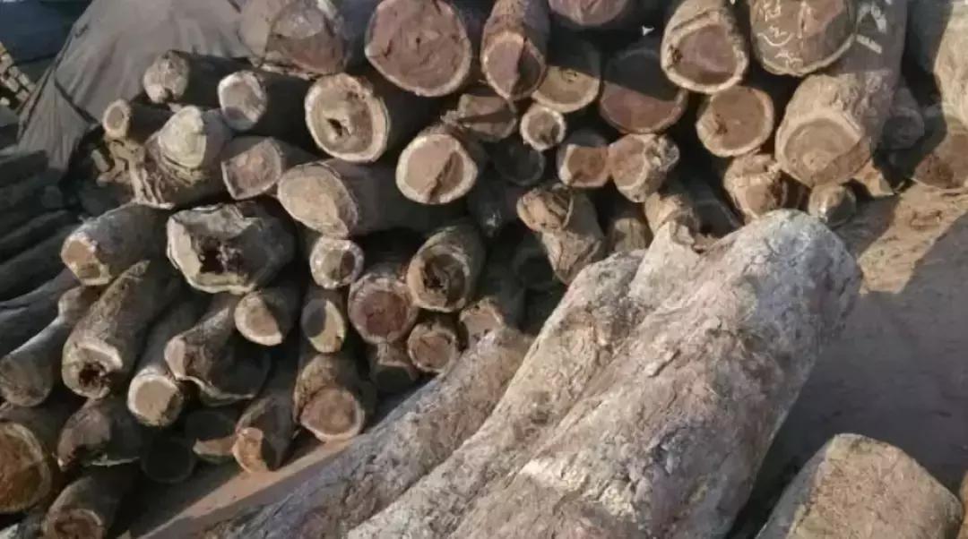 最便宜的红木种类红花梨,大批假冒伪劣红木家具充斥市场