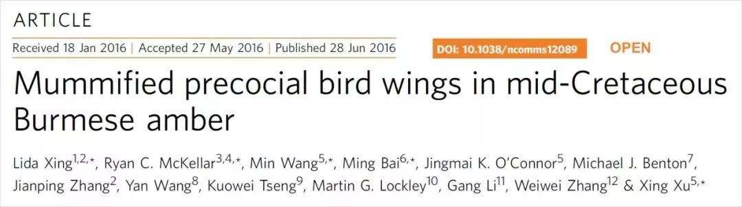 恐龙的特征和恐龙的外形特点,4-6厘米的六角恐龙长啥样