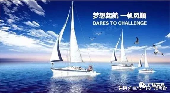 宝鸡最强六家企业,陕西宝鸡最强的六家企业排名