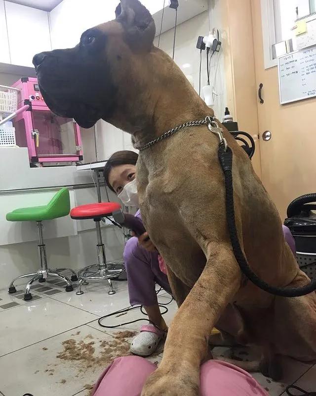 tony老师高阶换头术,90后tony老师换头术