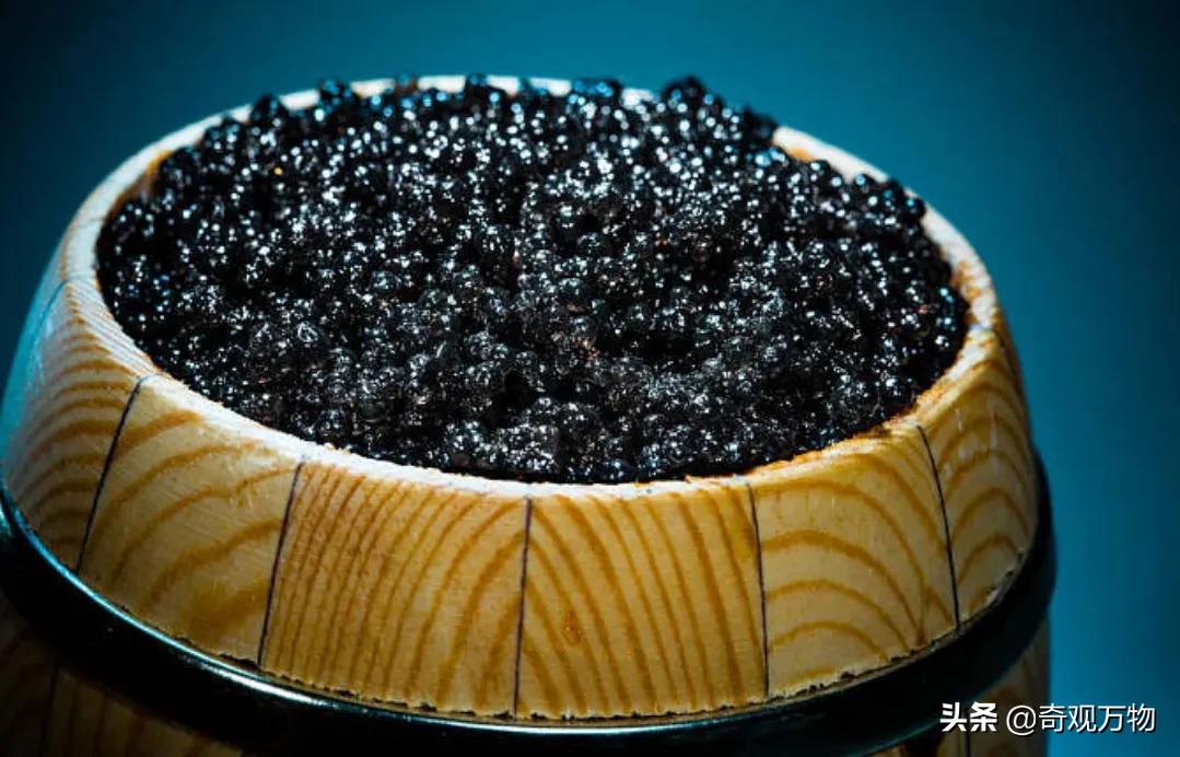 白化鲟鱼鱼子酱多少一条,鲟鱼鱼子酱值多少钱