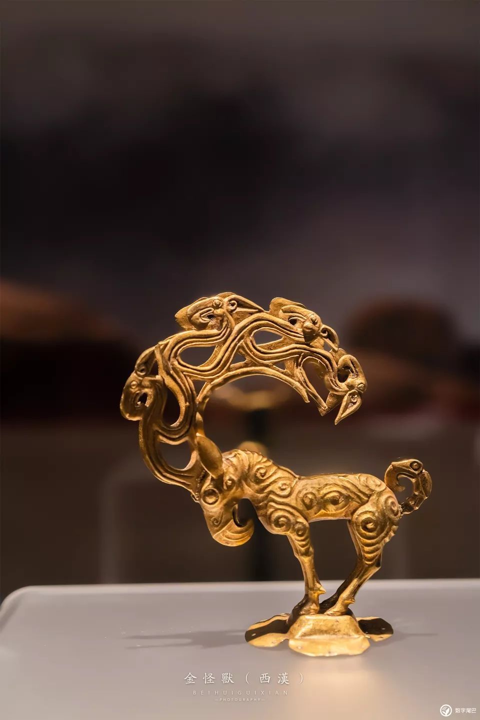 一起去博物馆发现古老的神器,陕西历史博物馆游览全攻略