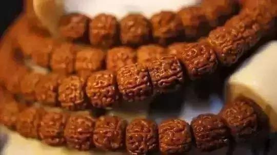 金刚菩提万元,金刚菩提怎么提升价值