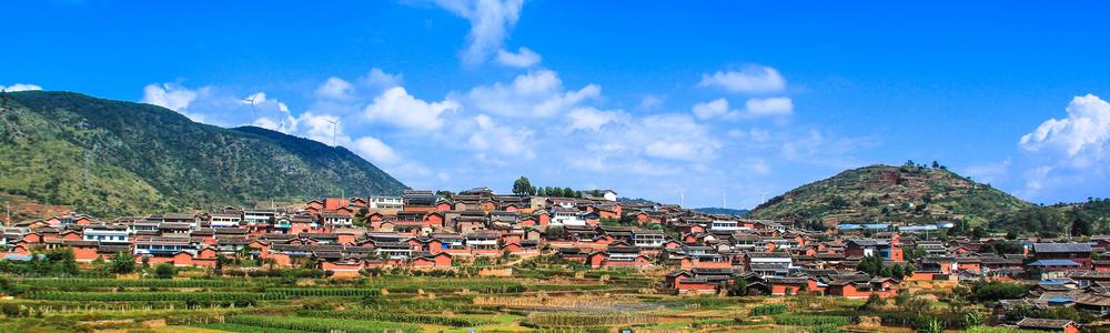 帮扶退伍军人事迹,武义县乌石头村周方勇