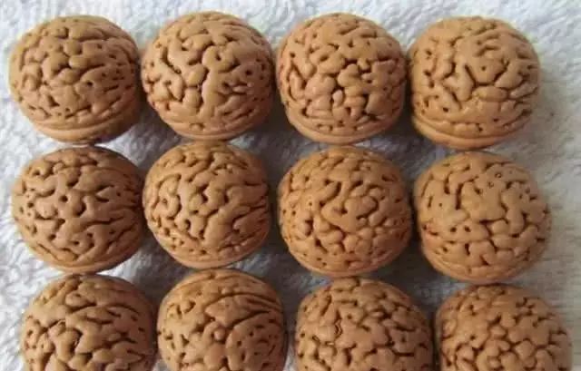 四大金刚桃核品种,桃核四大金刚你都玩过吗