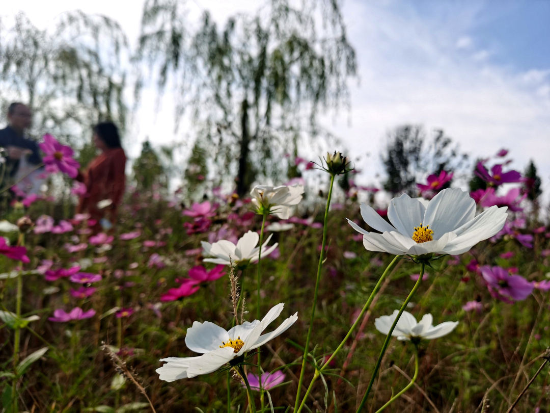 荆山旅游景点大全,荆山美景