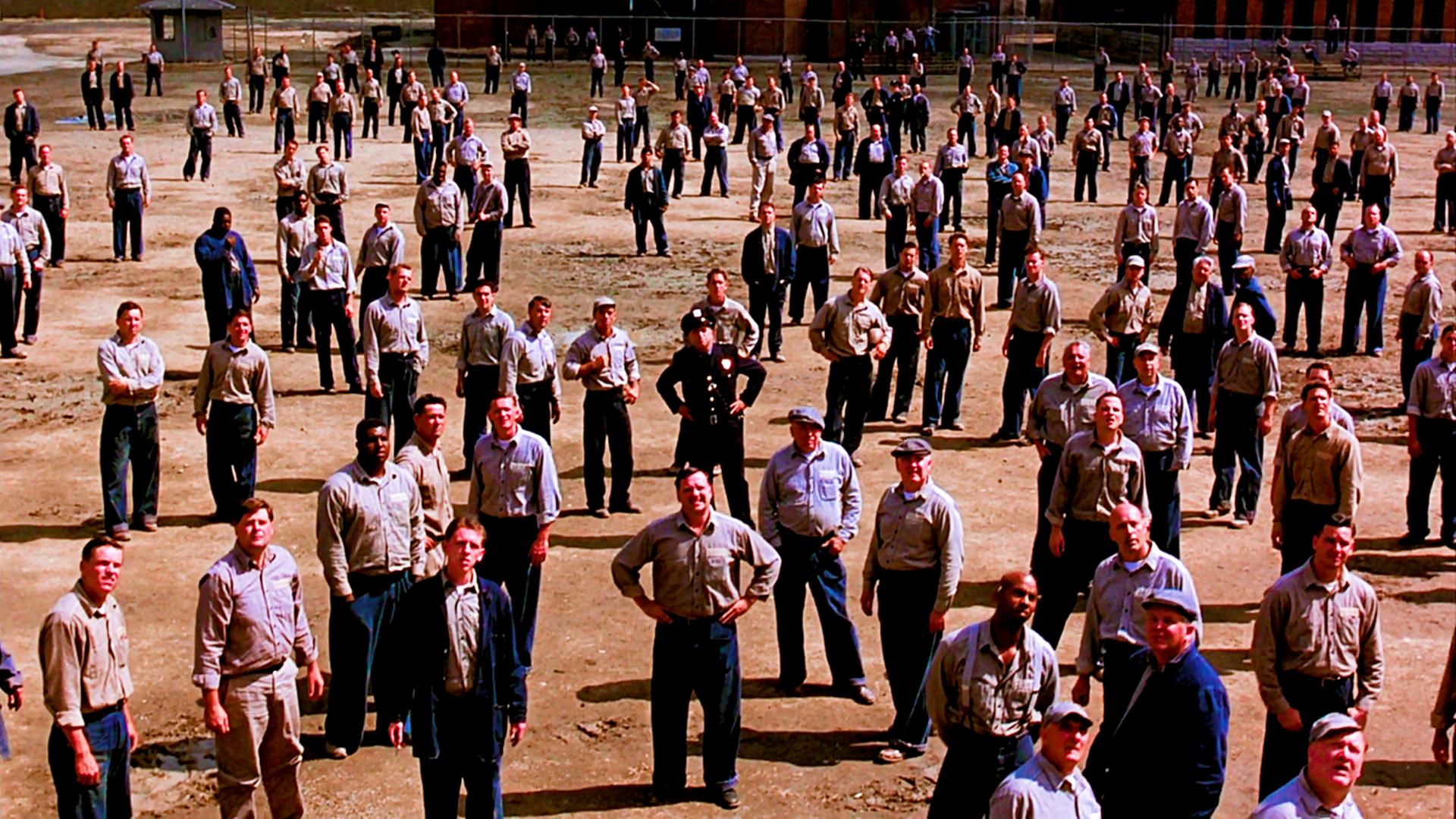 肖申克的救赎为什么要砸破管子,肖申克的救赎中的鸟代表什么