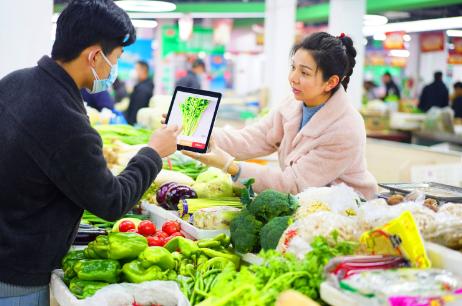 高端媒体看邯郸,保定电视台节目回看