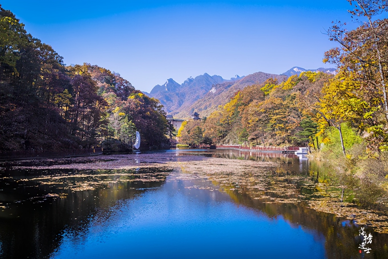 河南洛阳嵩县白云山都有哪些景观,河南洛阳嵩县的白云山风景名胜区